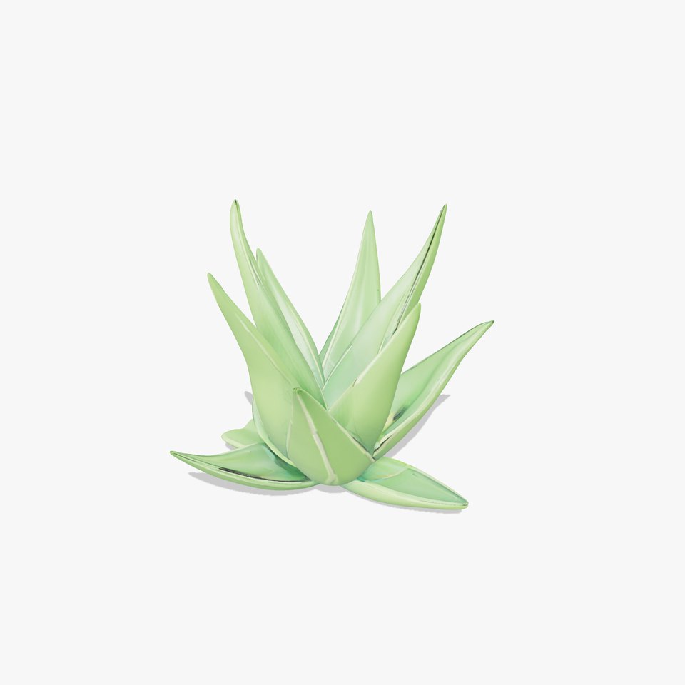 Green Aloe Vera model pack